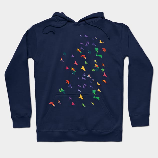 Colorful flying birds 1 Hoodie by CindyS